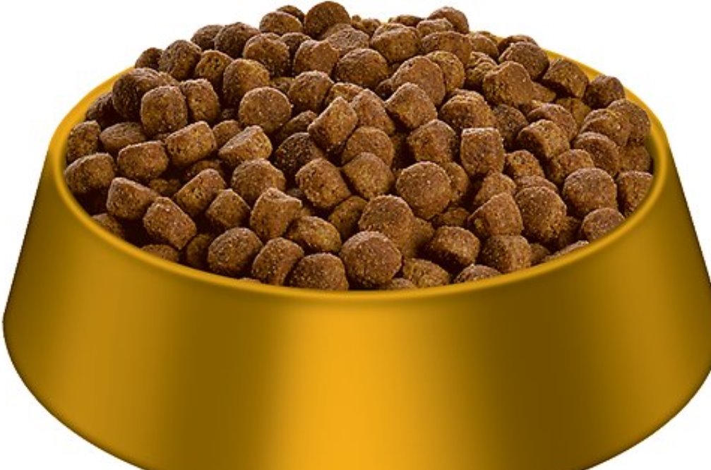 large gold bowl with dog food in the bowl